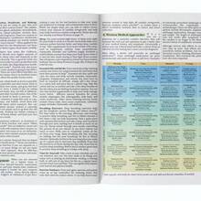 The Holistic Guide To Wellness For Common Ailments Herbal Medicine Book Holistic Herbal Protocol Book - C-Green - View 2