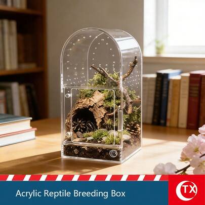 Habitat Transparente de Acrílico para Aranha Saltadora - 19,9 x 9,9 x 9,9 cm Terrário de Mesa Arqueado, Caixa de Observação Respirável Multifuncional Adequada para Alimentar Aranhas Lobo, Louva-a-Deus, Grilos, Rãs, Lesmas e Outros Pequenos Répteis, Decoração de Mesa, Caixa de Plantio de Micropaisa gem, Recipiente de Alimentação de Animais de Estimação Sem Montagem, Moradia Durável de Répteis