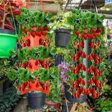 Bolsa de cultivo colgante para fresas con agujeros de plantación, resistente y duradera, maceta colgante vertical para verduras, tomates, patatas - Multicolor - Ver 1