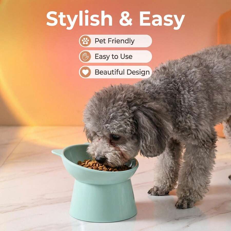 卡通猫造型多色塑料猫碗，猫咪和小型犬宠物碗 - 适用于干/湿粮和水 - 易于清洁，可盛放干粮、零食和罐装湿粮，也可作为骨头残渣和坚果壳的收纳碗，宠物餐盘，情人节礼物，高脚宠物碗，宠物用品（蓝色、绿色、粉色）