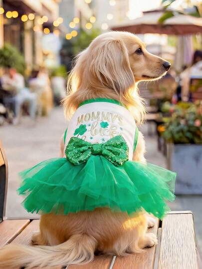 1件宠物服装，猫狗服装，小型犬和幼犬可爱浪漫系列套装，亮片蝴蝶结薄纱裙