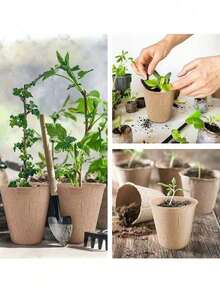 20/40/60pcs Disposable Leaf-Shaped Paper Nutrient Cups, Seedling Planting Pots For Plant Propagation - Multicolor - View 11