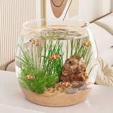 1pc Thick Transparent Tabletop Turtle Tank, Goldfish Bowl, Hydroponics Living Room Shockproof Aquarium, Round Plastic Small Fish Tank Suitable For Living Room, One-Piece Turtle Tank, Tabletop Goldfish Bowl, Harmless, Shockproof And Unbreakable Fish Tank. - Clear - View 4