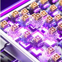 AULA HERO 84HE 有线键盘，配备快速触发磁力开关、碳纤维高性能定位板、0.01mm 精度、适用于混合轴游戏的 PBT 键帽、支持在线驾驶、适合电竞玩家、RGB 霓虹灯、可拆卸电竞定制机械键盘 - 查看 7