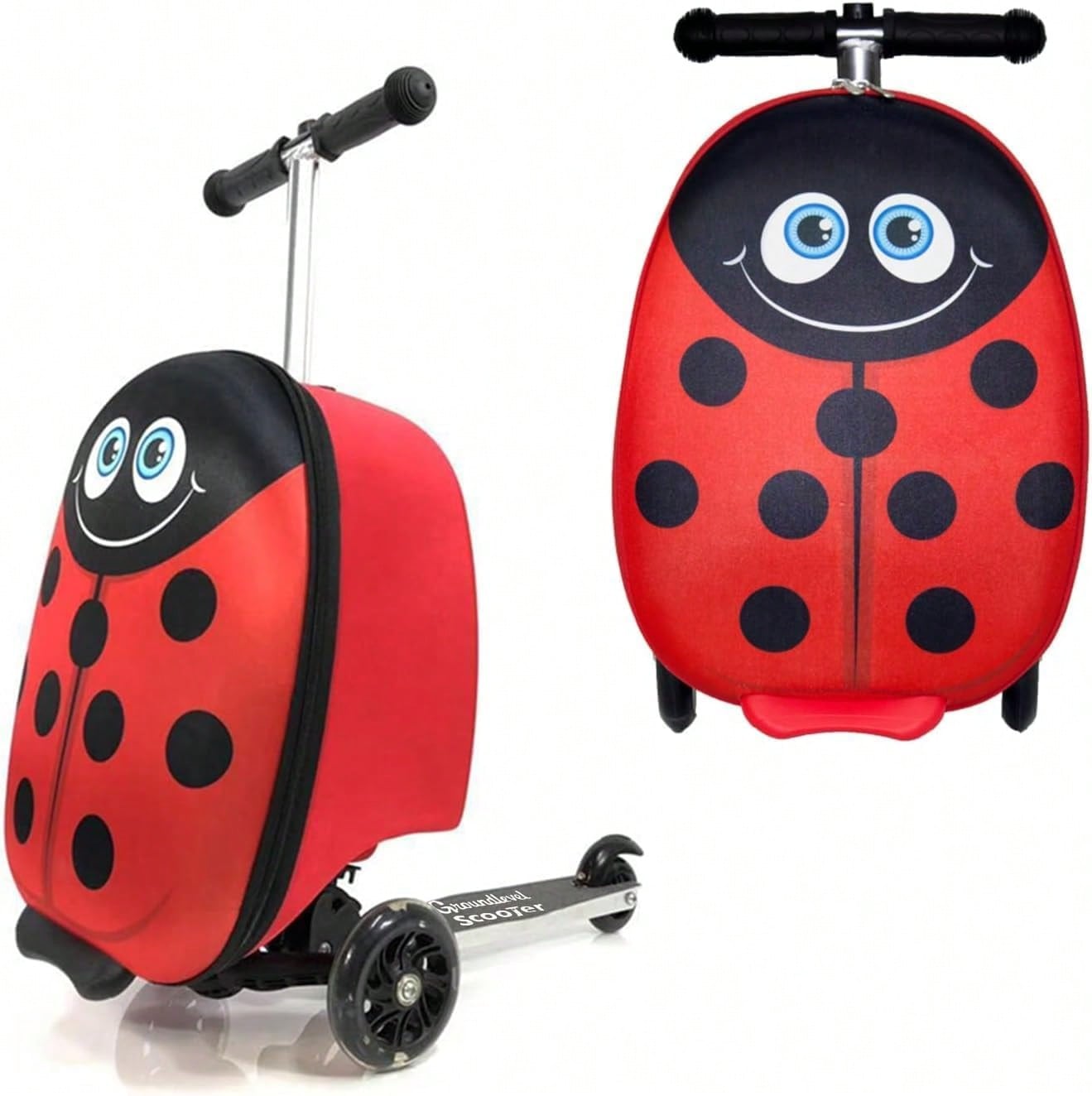 Ladybird