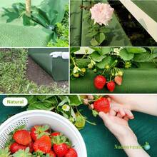 1.77oz Tela de barrera de jardín perforada de alta calidad - Verde y negro de doble capa, adecuada para camas de fresas y camas de plantación, control transpirable para el patio, huerta, huerto, jardín - Perforar agujeros verdes y negros - Ver 8