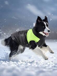 1件秋冬新款宠物外套，专为多种犬种设计，按扣式设计方便穿脱，优质面料保暖防风，适合日常散步、户外远足或宠物探险，撞色领口设计。 - 彩色 - 查看 1