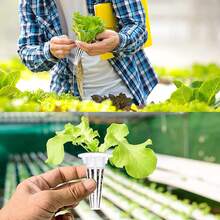 1 Set 12/60 Hydroponic Baskets Kit 6/30 Pcs Grow Baskets With 6/30 Pcs Pod Labels Lightweight Economy Plant Baskets For Grow Basket Compatible With Hydroponic Growing System - Hydroponic Kit - View 8