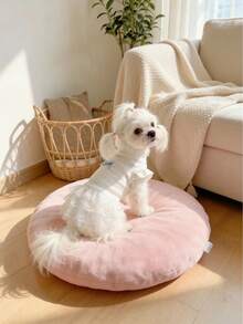 狗狗猫咪公主裙，天鹅绒面料，透气舒适，适合贵宾犬、马尔济斯犬、泰迪熊犬、比熊犬等犬种，四季皆宜。 - 白色 - 查看 11