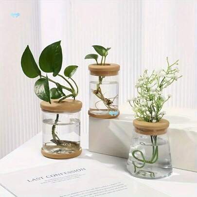Clear Hydroponic Plant Vase 3pcs Clear Hydroponic Plant