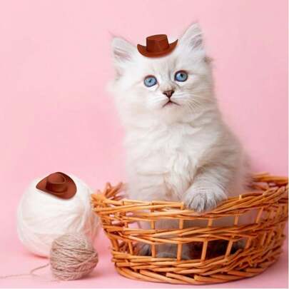 10顶/包迷你塑料牛仔帽，西部风格小娃娃帽，适合装饰鸡尾酒杯、纸杯蛋糕、婚礼、单身派对、娃娃屋、牛仔派对