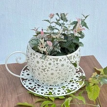 Rustikaler Blumentopf in Form einer Kaffeetasse aus Eisen – Leichter, runder Metallpflanztopf mit dekorativen Griffen, geeignet für drinnen und draußen, Garten, Balkon oder Tisch, für Sukkulenten, Blumen und Pflanzen - Weiß - Übersicht 2