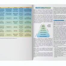 The Holistic Guide To Wellness For Common Ailments Herbal Medicine Book Holistic Herbal Protocol Book - C-Green - View 5