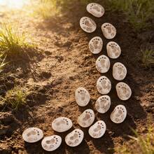 Set de 20 piezas de piedras de paso con forma de huella para jardín de primavera, decoración creativa para macetas, accesorios únicos para microlandscape de patio y mesa - Cubierta de pie individual con huella 20 - Ver 12
