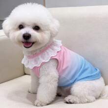 1pc Pet Apparel Cute Rainbow Gradient Vest - Multicolor - View 2