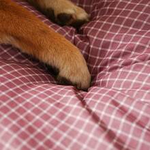 1 chiếc đệm tròn chống thấm nước, chống dính, chống nước tiểu cho thú cưng, phù hợp cho chó và mèo mọi mùa, đệm ấm áp và thời trang cho chó/mèo. - Màu tím - Xem 4