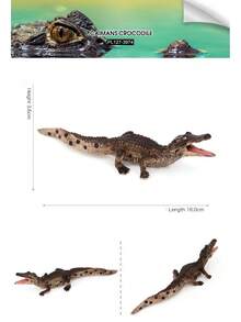 1pc Realistic Animal Crocodile Model - Siamese Crocodile, Short-Snouted Crocodile, Saltwater Crocodile, Cuban Crocodile - Educational Display - Multicolor - View 4