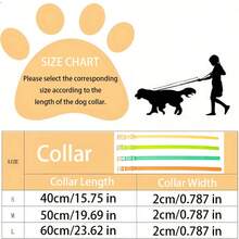 PVC Glow-In-The-Dark Leash & Collar Set, Light-Absorbing, High Visibility At Night - Multicolor - View 12