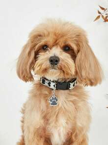 1个纤细心形挂钩宠物项圈，配有猫/狗配件，适合小型猫狗室内外全年佩戴 - 黑色 - 查看 3