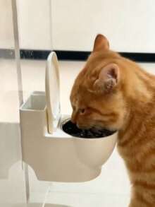 高档猫咪饮水器，壁挂式带盖，防溅防水，超可爱大号礼物 - 100毫升 - 查看 4