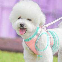 Soft Breathable Dog Harness, Adjustable Reflective Step-In Vest Harness For Small Dogs & Cats, Suitable For Medium & Small Breeds - Multicolor - View 5
