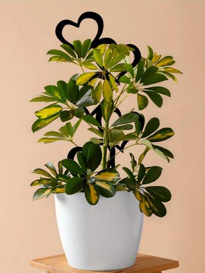 1PC Garden Plant Climbing Frame, Heart-Shaped Design, Iron Plant Support Frame With Black Anti Rust Coating, Used For Decorating Potted Plants, Climbing Vines And Flowers, Outdoor Courtyard Decoration, And Garden Floor Inserts, Balcony Decor, Flower Pot, Balcony, Balcony Decoration, Garden Decor, Garden Accessories