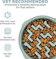 Outward Hound Medium Slow Feeder Bowl, Puzzle Maze For Fast Eaters, Small To Medium Dogs, Helps Prevent Bloat &Amp; Aid Digestion, Holds 2 Cups Wet Or Dry Food, Non-Slip, Made Without BPA, Sage - ColorA - 查看 3