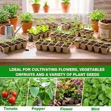 100孔育苗盘，植物育苗盆，12个配套发芽土盆，包含100张标签和2个土壤松土工具，植物幼苗培育套装 - 多款 - 查看 6