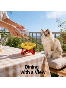 15° Tilted Anti-Vomiting Elevated Pet Feeding Bowl, High Stand Cat/Dog Bowl, Protective Neck & Spine Design, Non-Slip Wide Base, Durable Plastic Material, Suitable For Cats & Small Dogs, Wet & Dry Food, Practical Pet Gift - 350ml - View 7