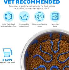 Tazón Lento Divertido Outward Hound de Acero Inoxidable para Perros - Mediano Capacidad de 2 Tazas, Alimentación Lenta, Laberinto Extraíble, Antideslizante, Se Adapta a Plataformas de Alimentación Elevadas - ColorG - Ver 3