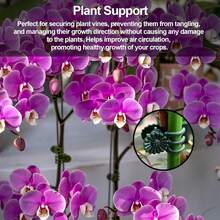 50/100个植物夹，兰花夹，植物支撑夹，藤蔓夹，帮助植物直立生长 - 多款 - 查看 3
