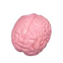 特大號逼真大腦壓力球玩具,超柔軟壓力緩解擠壓球,新奇趣味發洩玩具,適合青少年與成人,緩解焦慮惡作劇玩具 - 彩色 - 查看 8