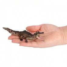 1pc Realistic Animal Crocodile Model - Siamese Crocodile, Short-Snouted Crocodile, Saltwater Crocodile, Cuban Crocodile - Educational Display - Multicolor - View 14