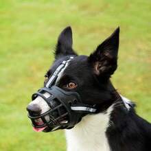 多功能犬用嘴套，有效防止吠叫和乱吃垃圾 - 适用于中大型犬 - 防咬、防骚扰、防打扰 - 价格实惠，材质优良，多种尺寸可选 - 宠物防护嘴套 - 黑色 - 查看 4