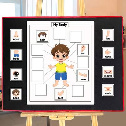 hoojojo My Body Parts Felt Teaching Aids, Montessori Recognition Toy, Interactive Word Matching Game For Preschool Learning & Classroom