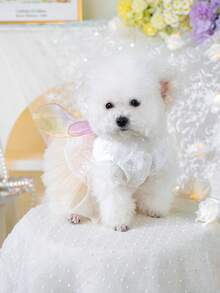PETCIRCLE 1 bộ quần áo cho thú cưng, váy cho chó, trang phục cho chó nhỏ, hàng mới về mùa xuân/hè, váy cưới voan xếp tầng cầu vồng. - Màu be - Xem 5