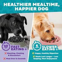 Outward Hound Fun Feeder Slo Bowl U2013 Small 3/4-Cup Capacity,Slow Feeding,Small Dogs,Puppies &Amp; Cats,Non-Slip,Pink,Wave Pattern,(Pack Of 12) - Màu E - Xem 6