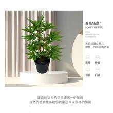 3/6片仿真绿色植物，秋季枫叶，31厘米/12.2英寸，绿色盆景，秋季红色枫叶，逼真植物，家居装饰，婚礼派对，家庭，酒店，办公室，花园装饰 - 綠色 - 查看 6