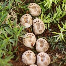 Set de 20 piezas de piedras de paso con forma de huella para jardín de primavera, decoración creativa para macetas, accesorios únicos para microlandscape de patio y mesa - Cubierta de pie individual con huella 20 - Ver 2