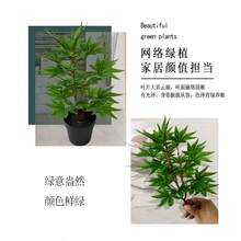 3/6片仿真绿色植物，秋季枫叶，31厘米/12.2英寸，绿色盆景，秋季红色枫叶，逼真植物，家居装饰，婚礼派对，家庭，酒店，办公室，花园装饰 - 綠色 - 查看 3