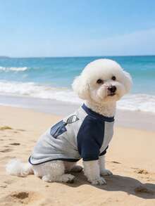 Colorblock Pet T-Shirt, Dog/Cat Clothes, Hot Selling Red & Gray Pet Apparel For Spring/Autumn - Grey - View 4