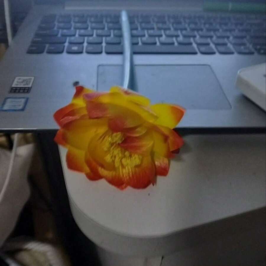 5支莲花形凝胶笔，柔软硅胶笔，创意文具，节日礼品，黑色签名笔 - 套裝 - 查看 1