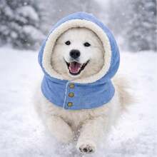 狗狗耳罩式保暖脖套，宠物牛仔绒围巾，冬季户外防寒 - 彩色 - 查看 8