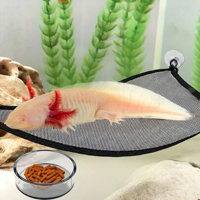 Võng cho kỳ giông Axolotl kèm khay đựng thức ăn, có đế hút chân không và khay đựng thức ăn có thể tháo rời, thích hợp cho tắc kè mào, giá đỡ nghỉ ngơi bằng lưới thoáng khí cho bò sát, thang võng lưới cho bò sát, thích hợp cho rồng râu, thú cưng thủy sinh, động vật nhỏ, thiết kế hình tam giác, kết cấu lưới, vật dụng thiết yếu cho người yêu thích bò sát.