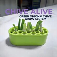 1pc Scallion Regrowth Kit - No Skills Needed, Easy Home Scallion Planting | Suitable For Balcony, Windowsill & Small Spaces Compact System | Fast Scallion Regrowth | Continuous Harvest - Flowerpot - View 6