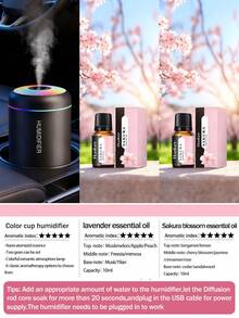 USB香薰加湿器,冷雾加湿,带LED灯,迷你加湿器,香薰雾化器,黑白两色可选,持久清新空气,适用于汽车、卧室、办公室、浴室、客厅、书桌等场所——馈赠佳品,另有6种不同精油可选。 - 加濕器組合 - 查看 32