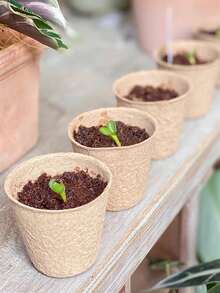 20/40/60pcs Disposable Leaf-Shaped Paper Nutrient Cups, Seedling Planting Pots For Plant Propagation - Multicolor - View 8