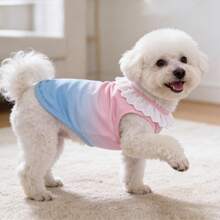1pc Pet Apparel Cute Rainbow Gradient Vest - Multicolor - View 3
