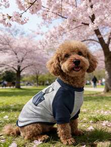 Colorblock Pet T-Shirt, Dog/Cat Clothes, Hot Selling Red & Gray Pet Apparel For Spring/Autumn - Grey - View 8