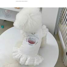 春夏宠物狗连衣裙，华夫格蕾丝边镶钻公主裙，适合小型犬 - 彩色 - 查看 4